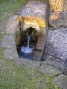 Wasserlösung, heute als Wasserquelle Sieringhoek bezeichnet