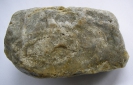 Prototaxites loganii (Nematophyt)