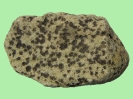 Kambrium