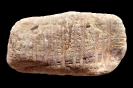 Spurenfossil Scolithos linearis (Haldeman, 1840)