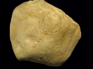 Spurenfossil Monocraterion cf. tentaculatum (Torell, 1870)