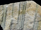 Spurenfossil Scolithos linearis (Haldeman, 1840)