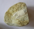 Oberkreide
