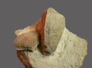 Unterkreide