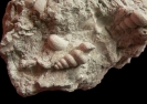 Geschiebe