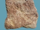 Spurenfossilien Planolites montanus (RICHTER, 1937)