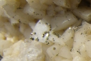 Mineralien