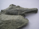 Geologie